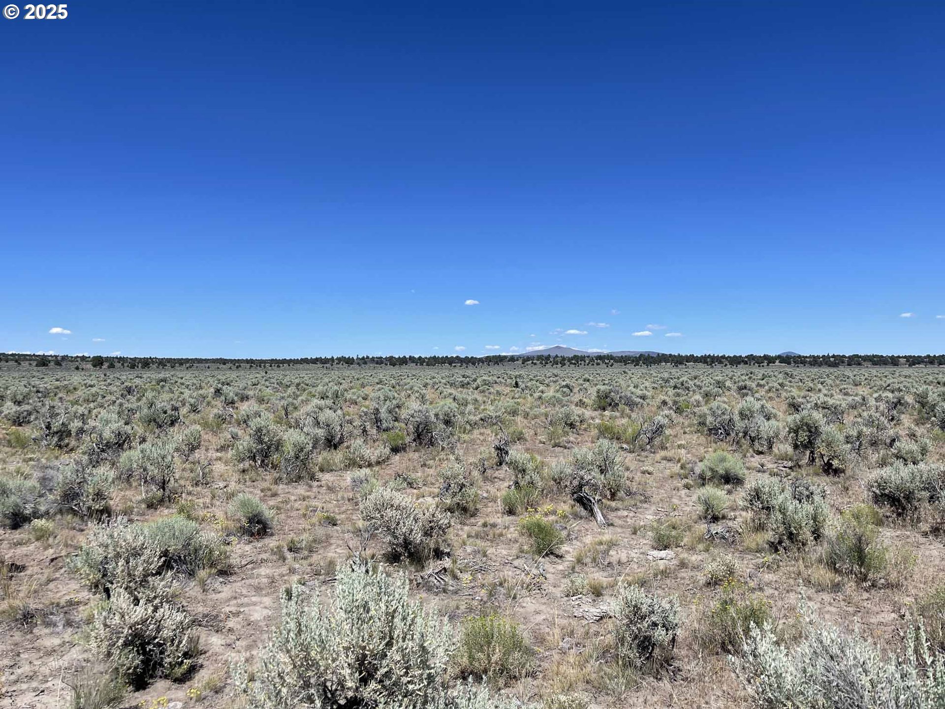 Benjamin Lake Road, Unit L 502 Christmas Valley, OR 97641 - Photo 11 of 31 a view of a green field