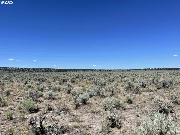 $9,000 | Benjamin Lake Road, Unit L 502, Christmas Valley, OR 97641