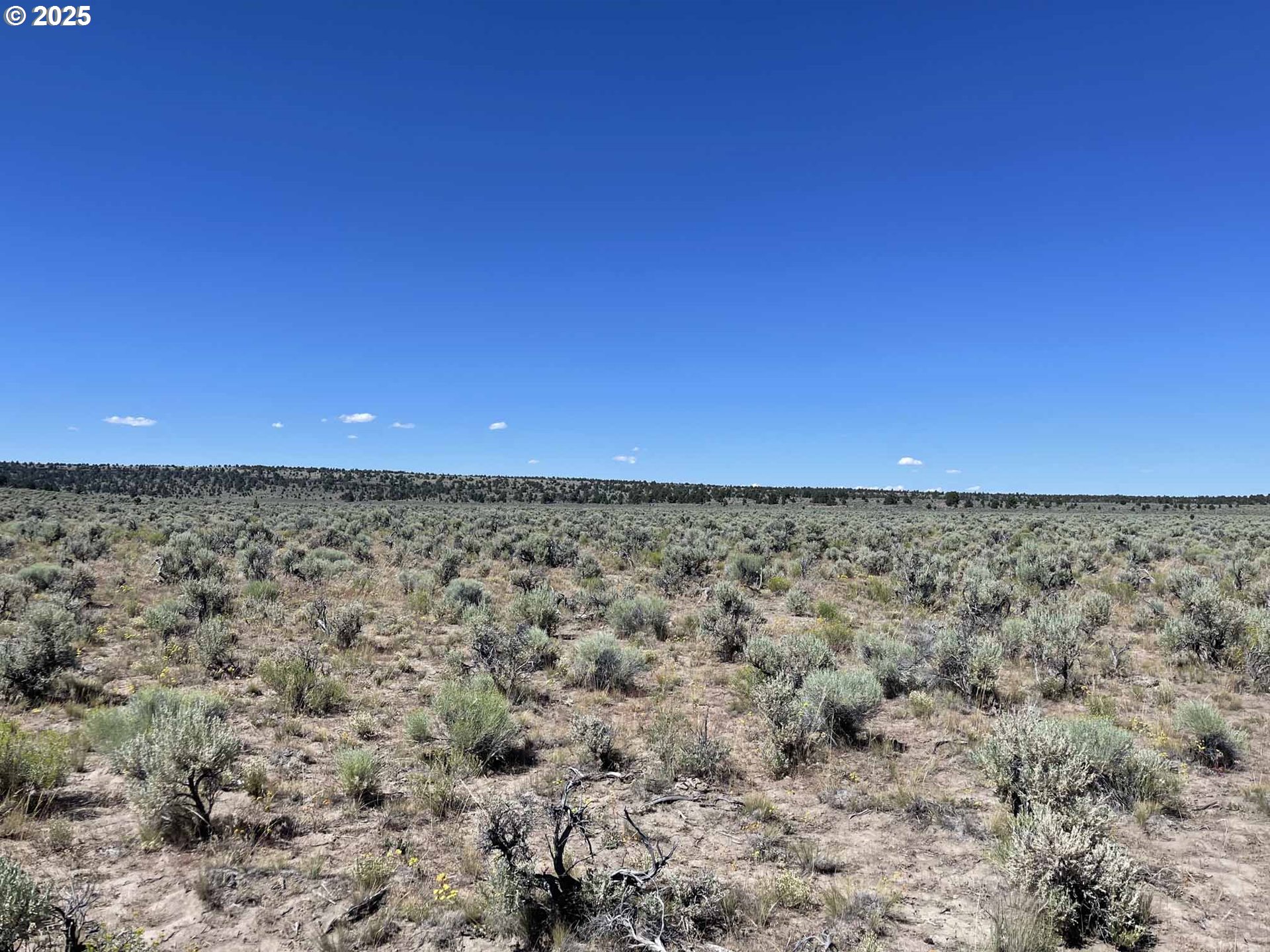 Benjamin Lake Road, Unit L 502 Christmas Valley, OR 97641 - Photo 13 of 31 a view of a large green field