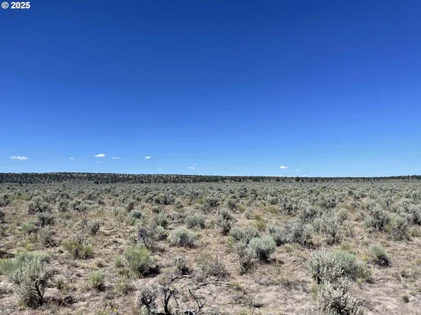 $9,000 | Benjamin Lake Road, Unit L 502, Christmas Valley, OR 97641