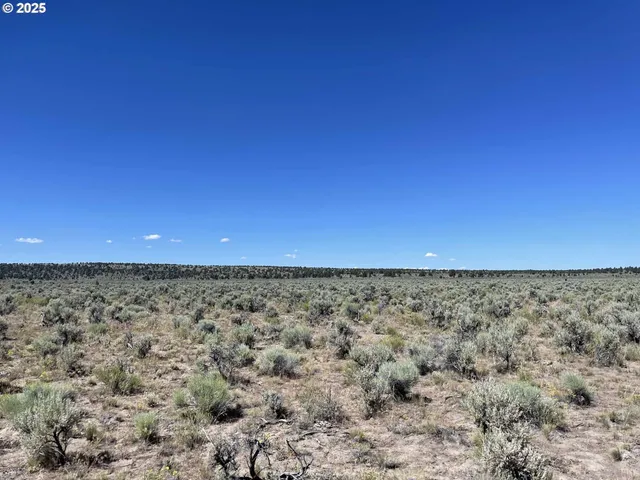 a view of yard with a yard