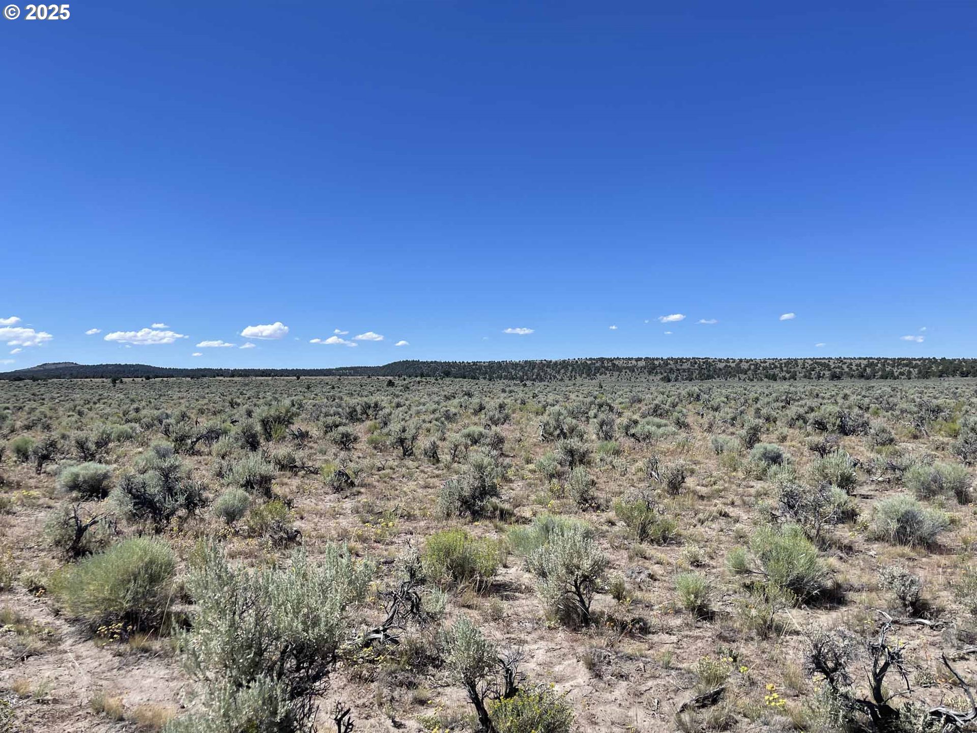 Benjamin Lake Road, Unit L 502 Christmas Valley, OR 97641 - Photo 15 of 31 a view of a hard wood floor