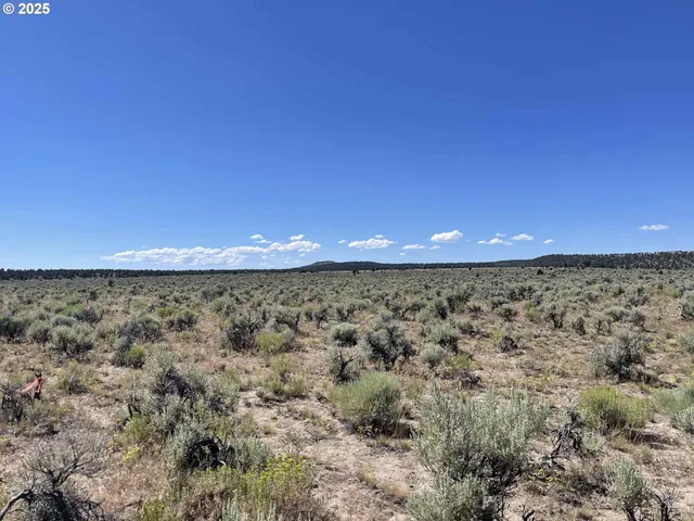 a view of a large green field