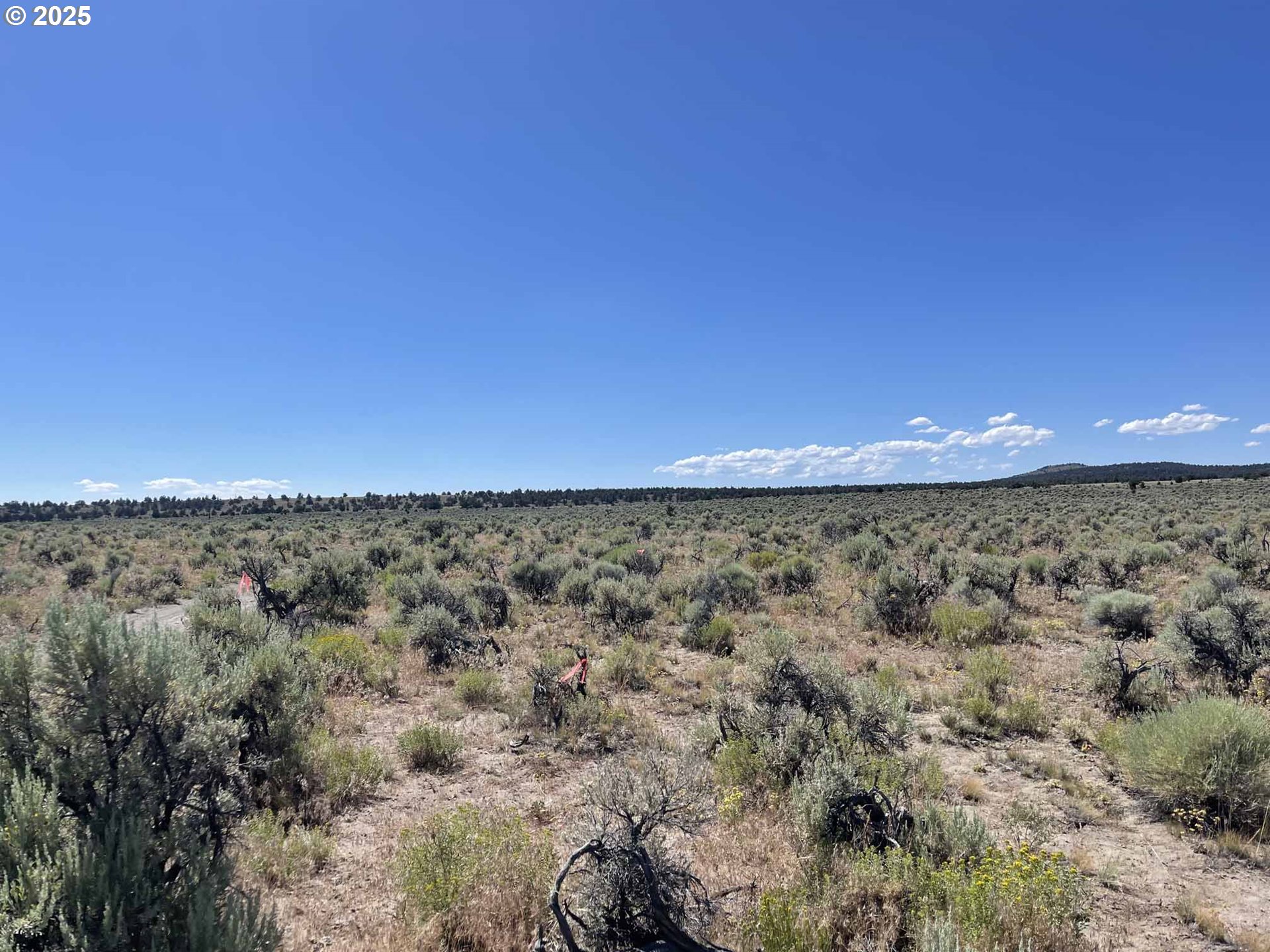 Benjamin Lake Road, Unit L 502 Christmas Valley, OR 97641 - Photo 17 of 31 a view of a large green field