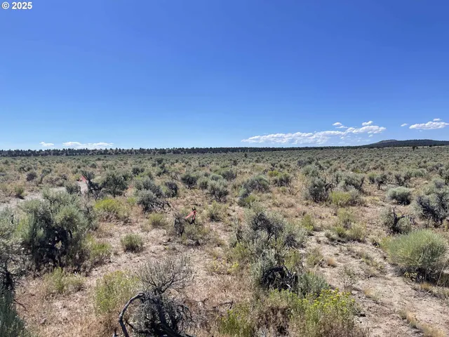 a view of a yard with an outdoor space