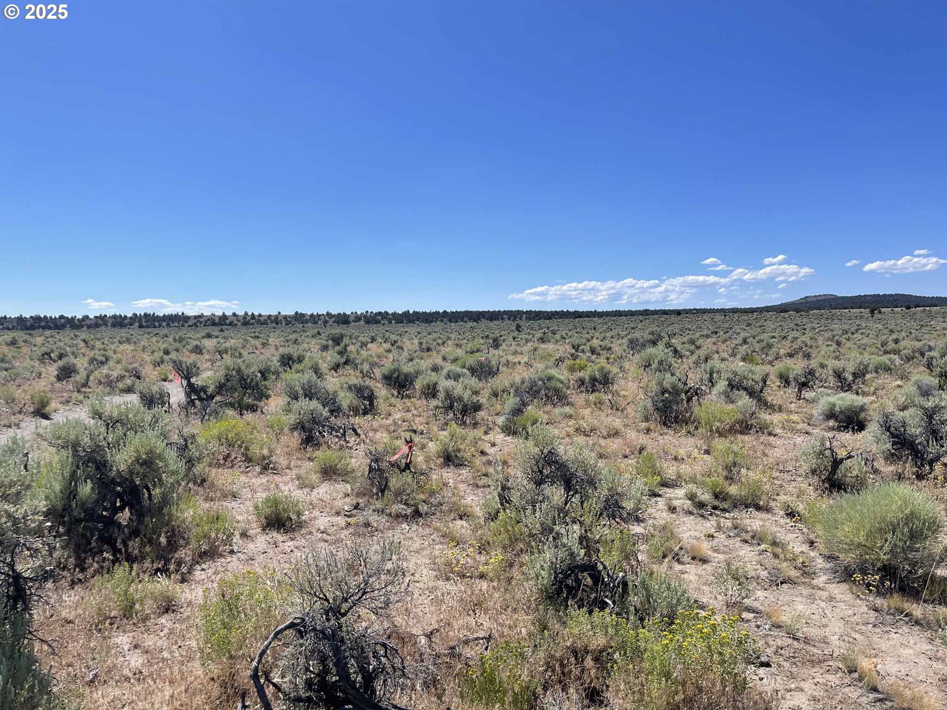 Benjamin Lake Road, Unit L 502 Christmas Valley, OR 97641 - Photo 18 of 31 a view of a yard with an outdoor space
