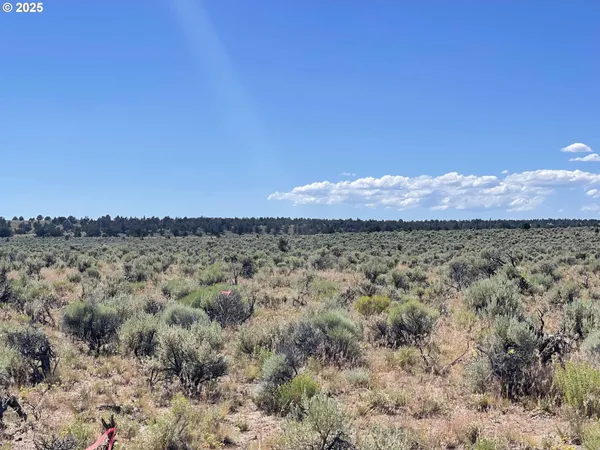 $9,000 | Benjamin Lake Road, Unit L 502, Christmas Valley, OR 97641