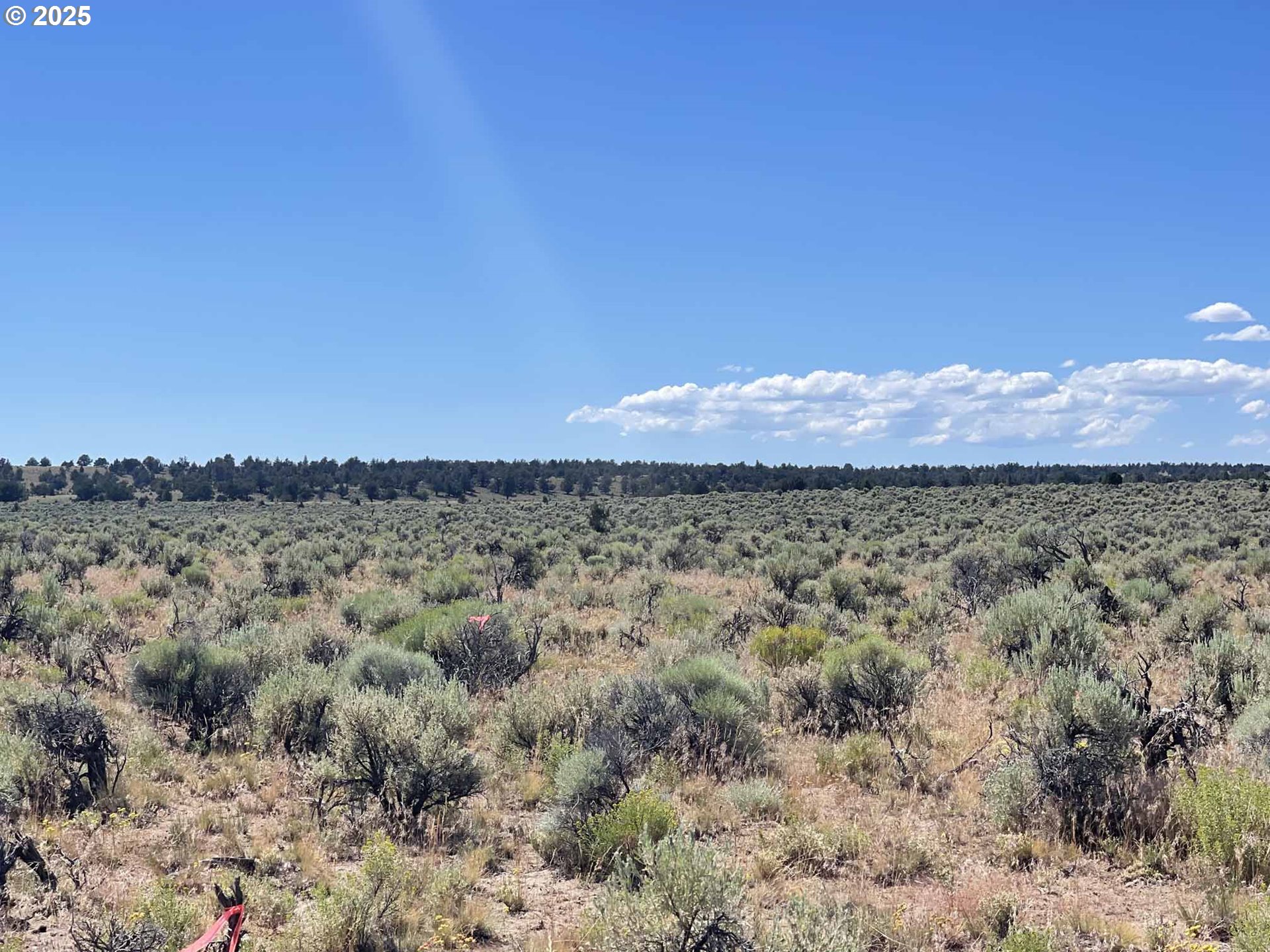Benjamin Lake Road, Unit L 502 Christmas Valley, OR 97641 - Photo 19 of 31 a view of a dry yard with green space