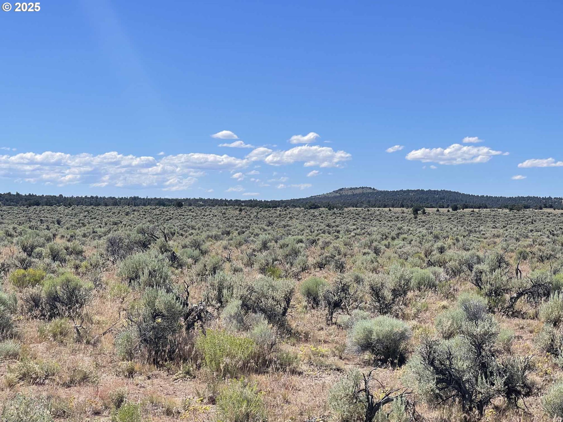 Benjamin Lake Road, Unit L 502 Christmas Valley, OR 97641 - Photo 20 of 31 a view of mountain with sunset in background