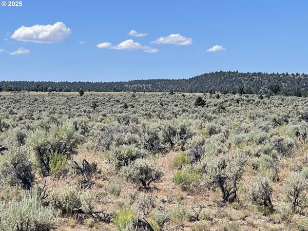 $9,000 | Benjamin Lake Road, Unit L 502, Christmas Valley, OR 97641
