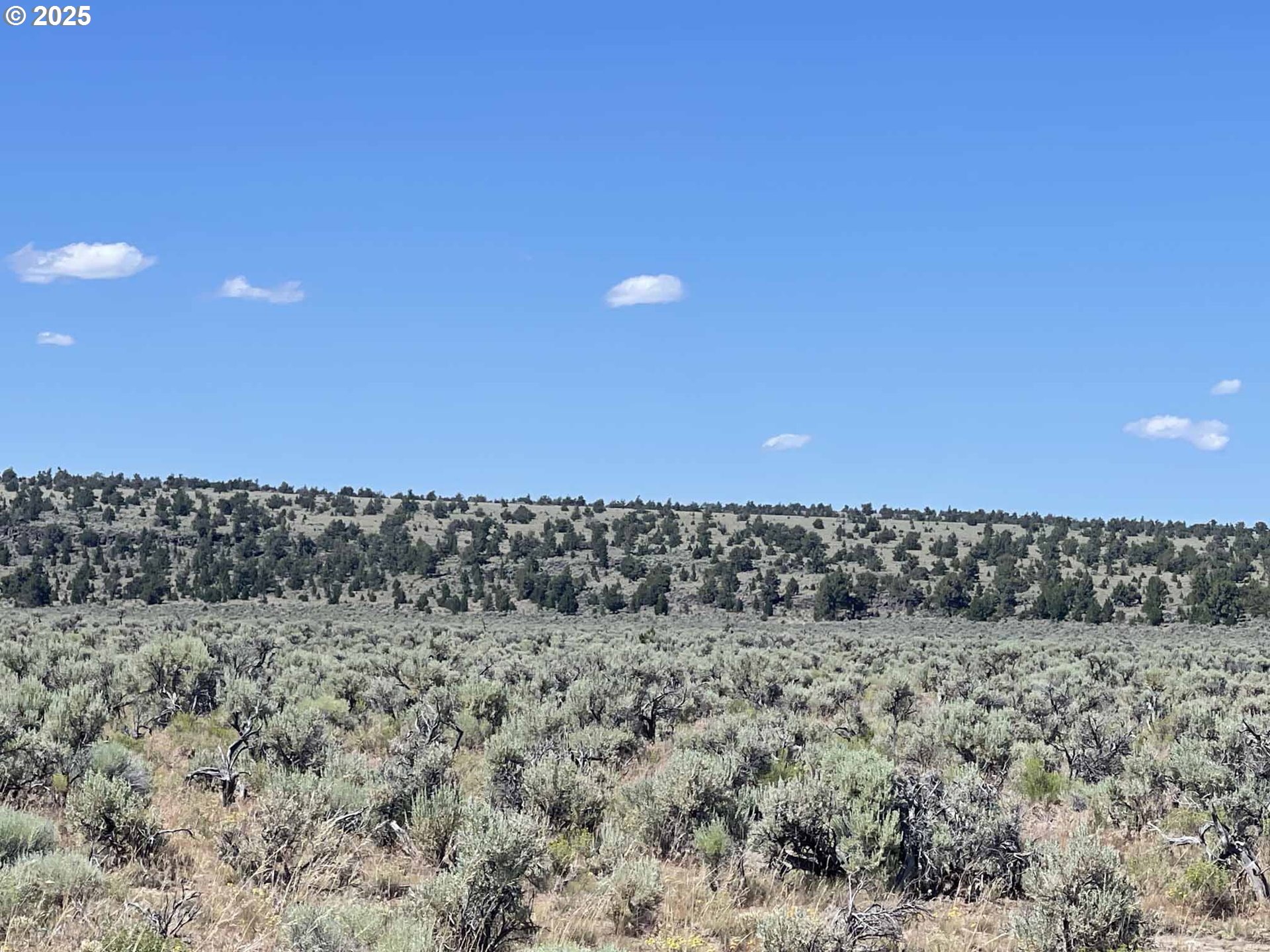 Benjamin Lake Road, Unit L 502 Christmas Valley, OR 97641 - Photo 23 of 31 a view of a dry yard with trees