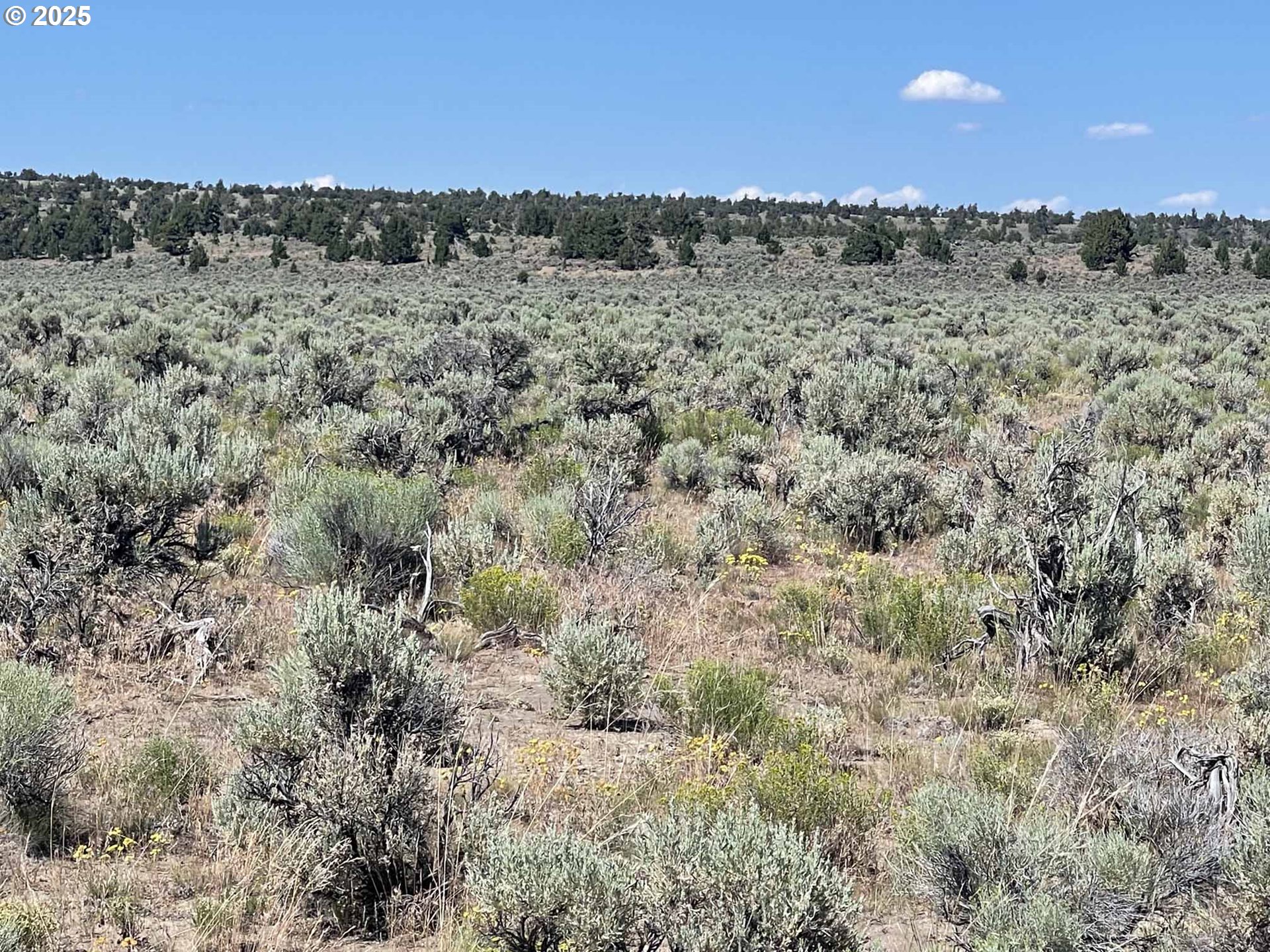 Benjamin Lake Road, Unit L 502 Christmas Valley, OR 97641 - Photo 24 of 31 a view of a dry top of forest