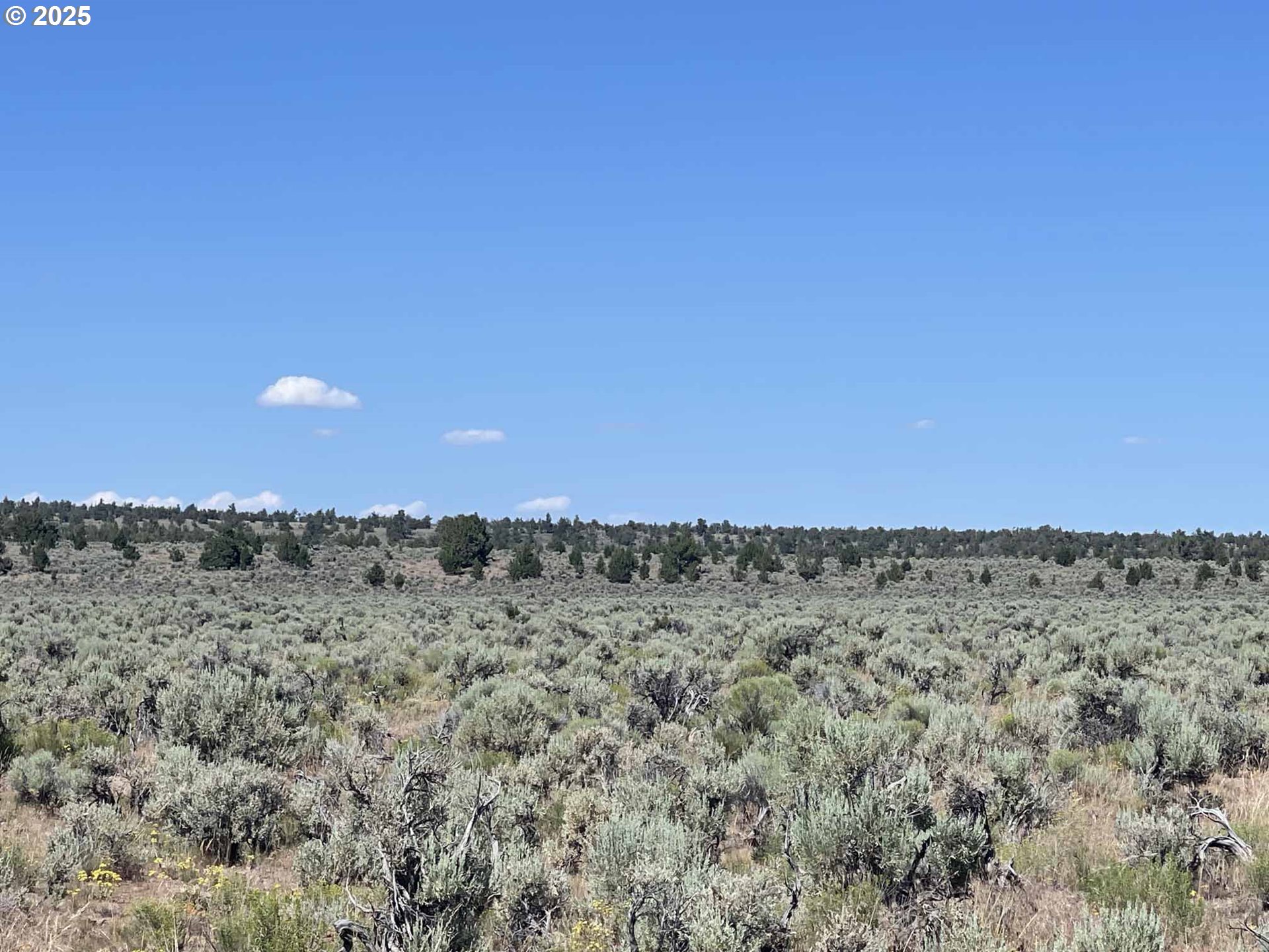 Benjamin Lake Road, Unit L 502 Christmas Valley, OR 97641 - Photo 25 of 31 a view of a dry field with trees in background
