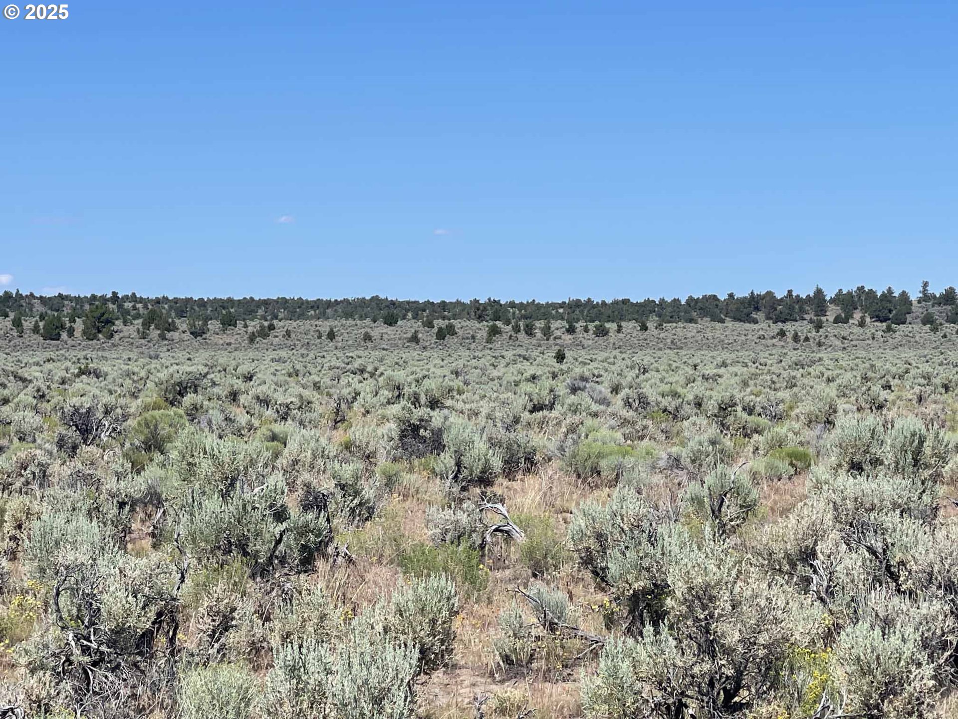 Benjamin Lake Road, Unit L 502 Christmas Valley, OR 97641 - Photo 26 of 31 a view of a field with an ocean view