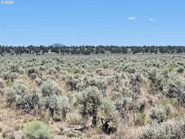 $9,000 | Benjamin Lake Road, Unit L 502, Christmas Valley, OR 97641