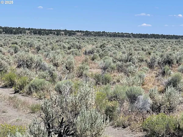 $9,000 | Benjamin Lake Road, Unit L 502, Christmas Valley, OR 97641