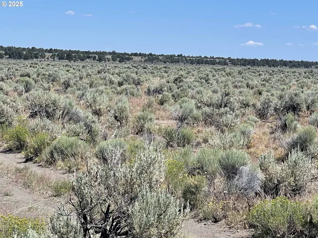 a view of a pathway with a dry background