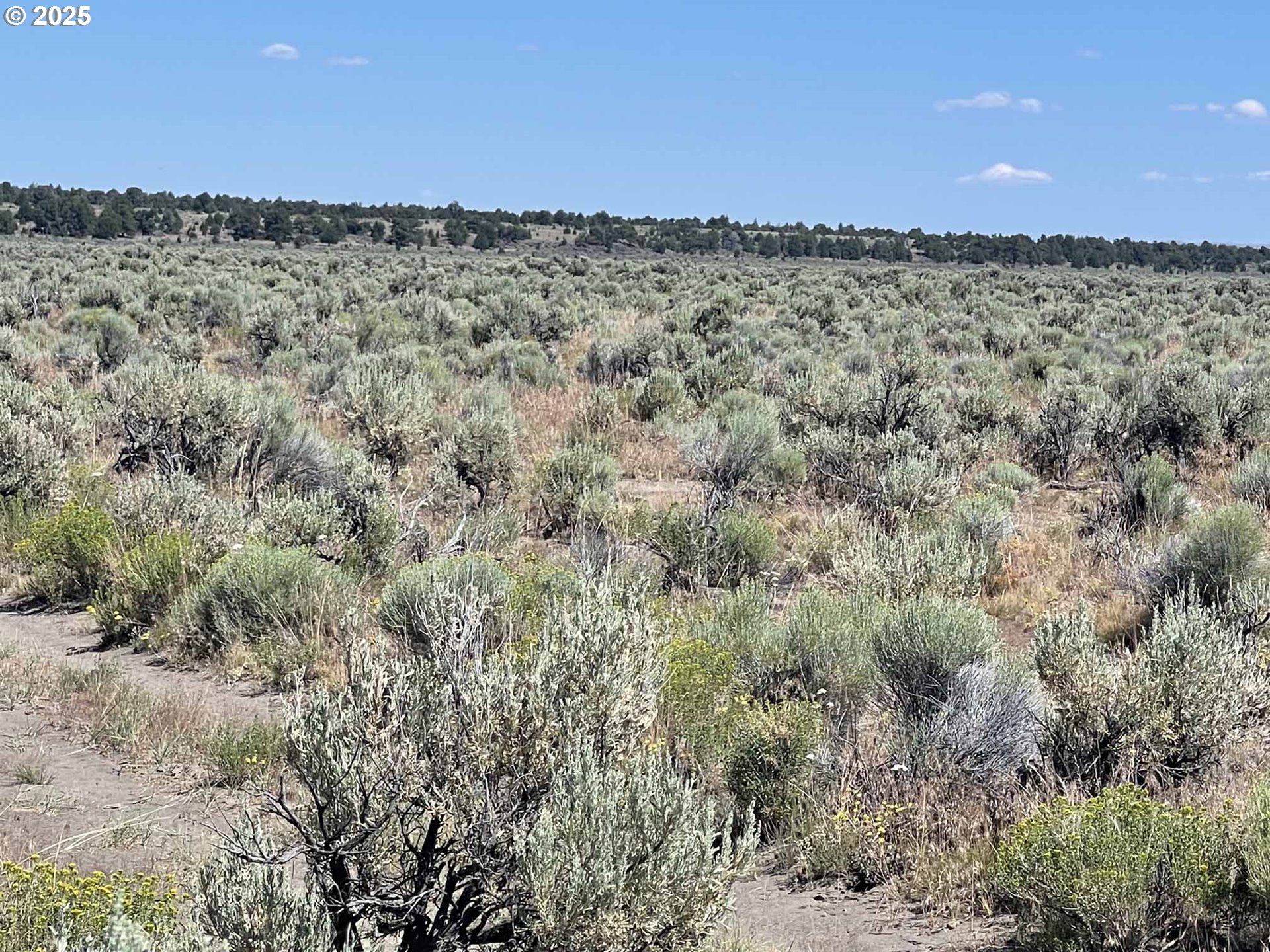 Benjamin Lake Road, Unit L 502 Christmas Valley, OR 97641 - Photo 29 of 31 a view of a pathway with a dry background
