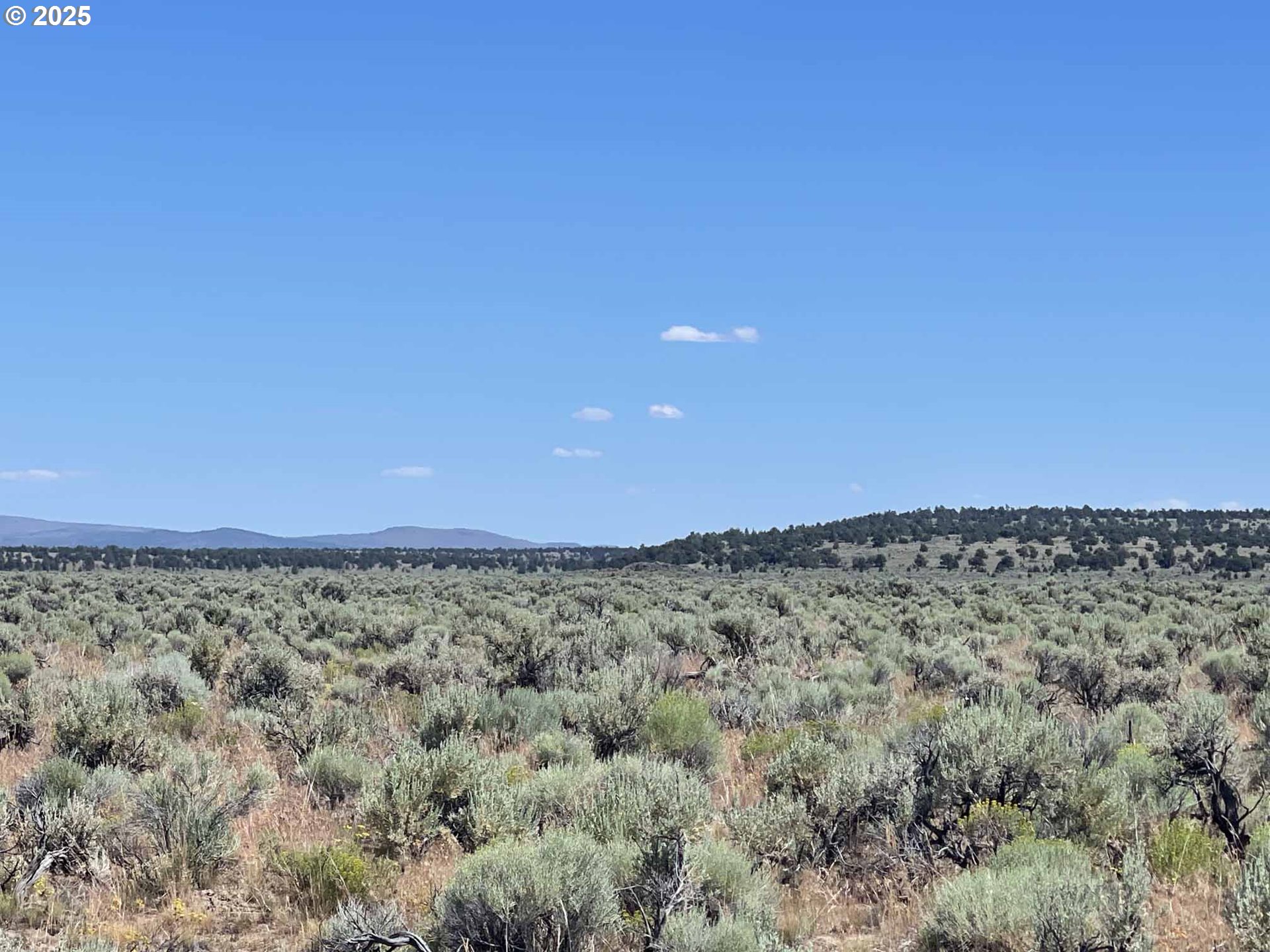 Benjamin Lake Road, Unit L 502 Christmas Valley, OR 97641 - Photo 30 of 31 a view of a dry yard with mountains in the background