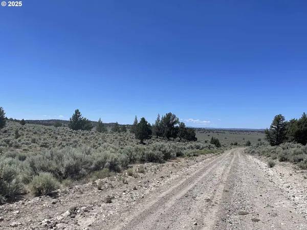 $9,000 | Benjamin Lake Road, Unit L 502, Christmas Valley, OR 97641