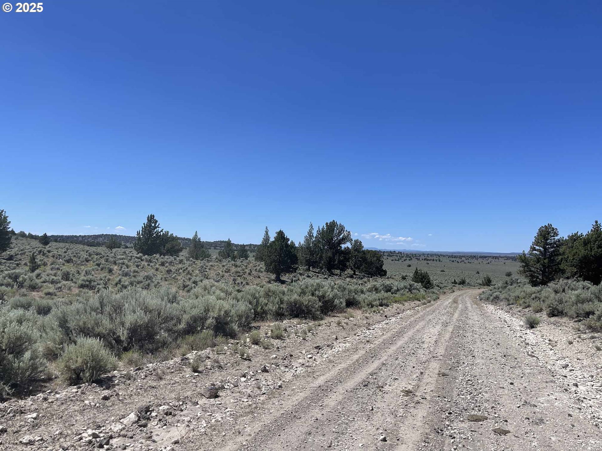 Benjamin Lake Road, Unit L 502 Christmas Valley, OR 97641 - Photo 3 of 31 a view of a dry yard with a forest