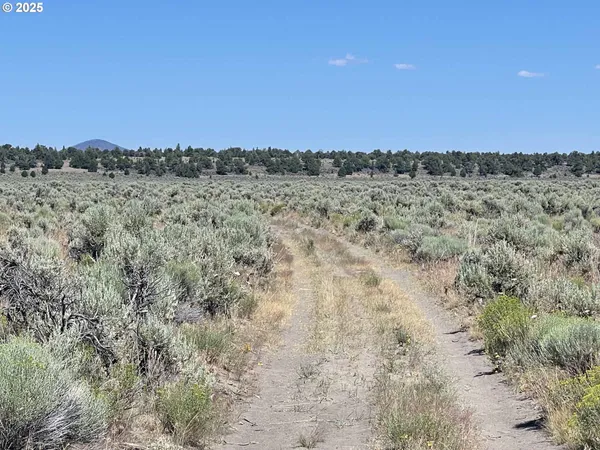 $9,000 | Benjamin Lake Road, Unit L 502, Christmas Valley, OR 97641