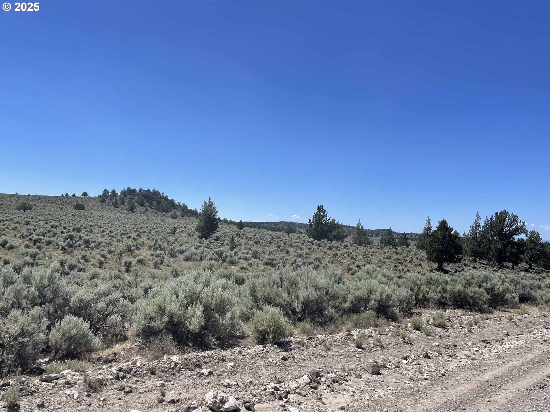 Benjamin Lake Road, Unit L 502 Christmas Valley, OR 97641 - Photo 4 of 31 a view of a dry field