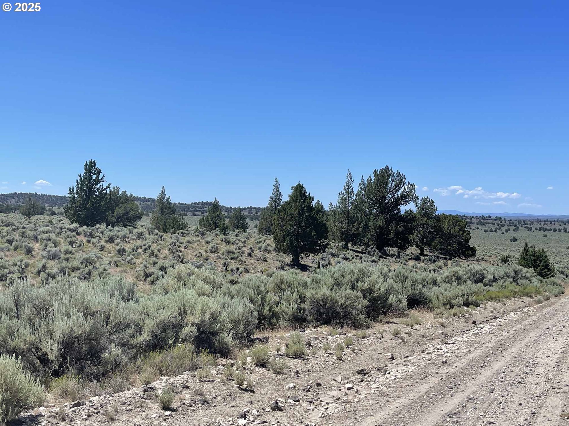 Benjamin Lake Road, Unit L 502 Christmas Valley, OR 97641 - Photo 5 of 31 a view of a dry yard with trees in the background