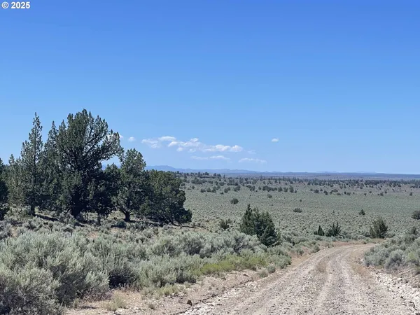 $9,000 | Benjamin Lake Road, Unit L 502, Christmas Valley, OR 97641