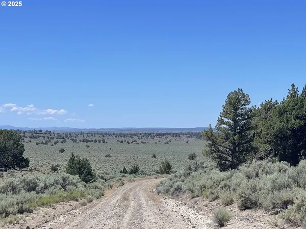 $9,000 | Benjamin Lake Road, Unit L 502, Christmas Valley, OR 97641