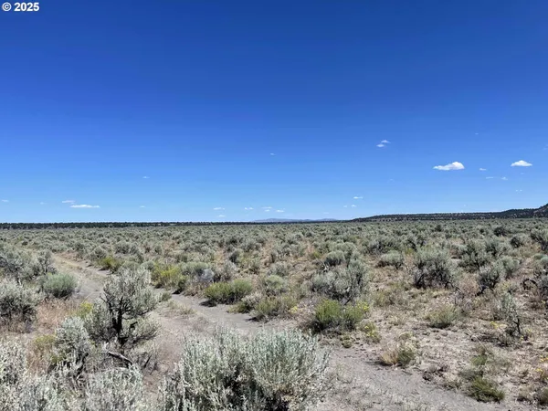 $9,000 | Benjamin Lake Road, Unit L 502, Christmas Valley, OR 97641