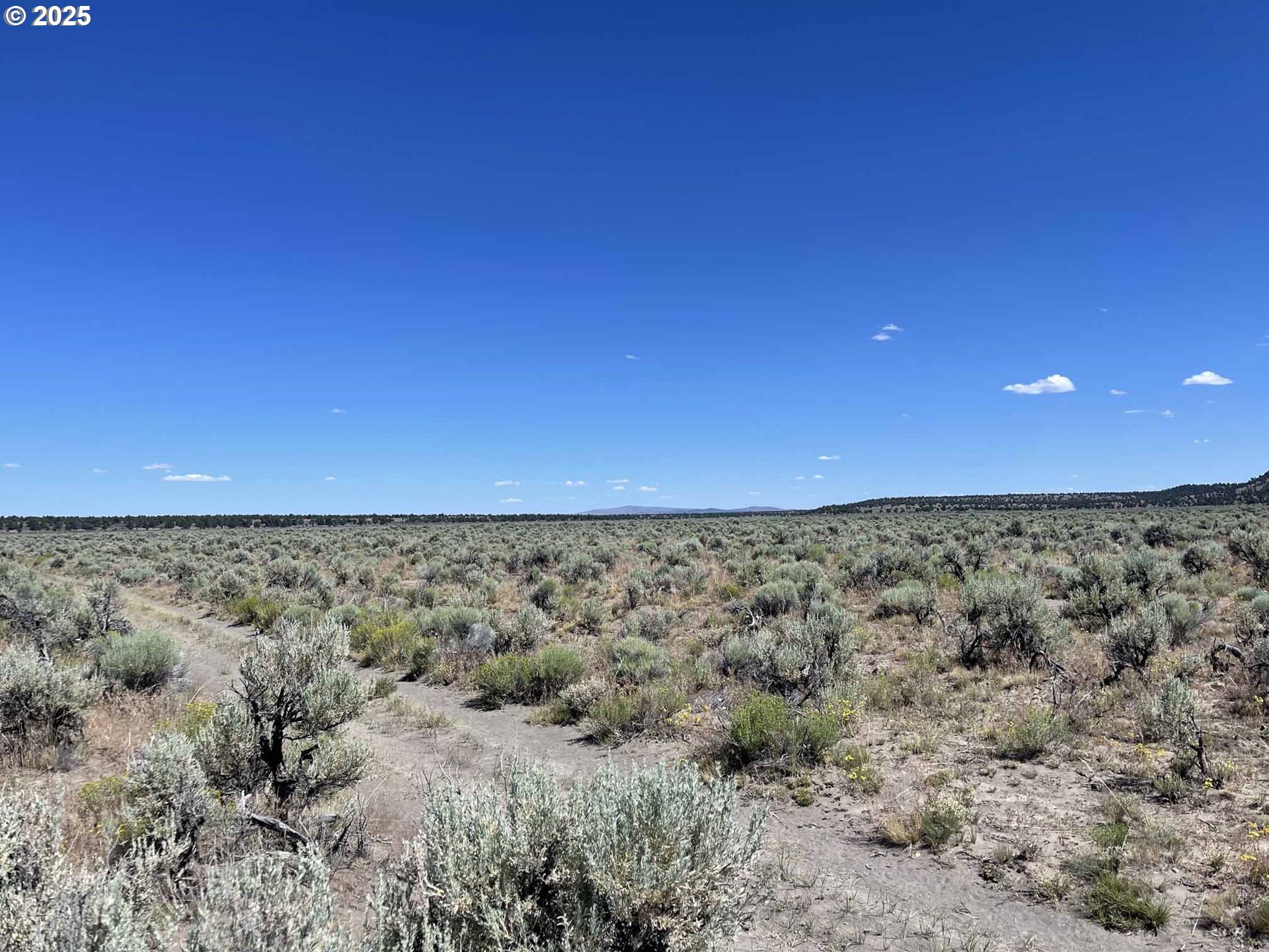 Benjamin Lake Road, Unit L 502 Christmas Valley, OR 97641 - Photo 8 of 31 a view of a field with an outdoor space