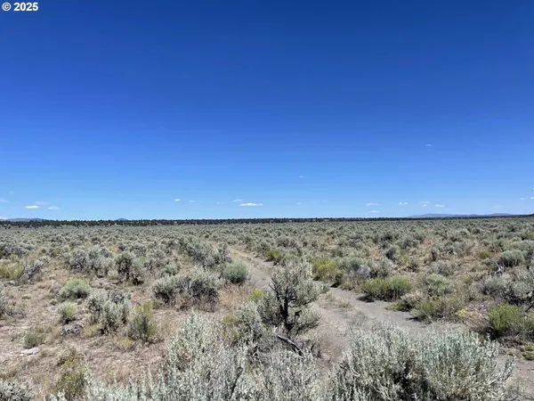 $9,000 | Benjamin Lake Road, Unit L 502, Christmas Valley, OR 97641