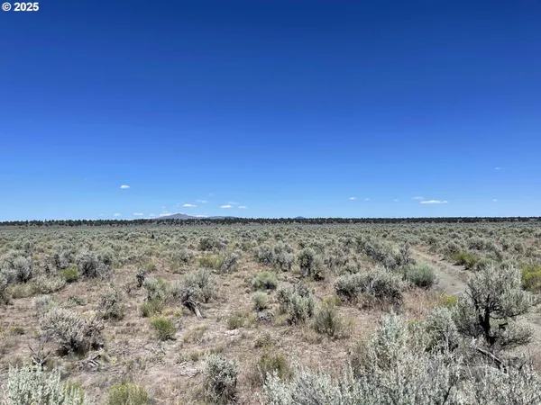 $9,000 | Benjamin Lake Road, Unit L 502, Christmas Valley, OR 97641