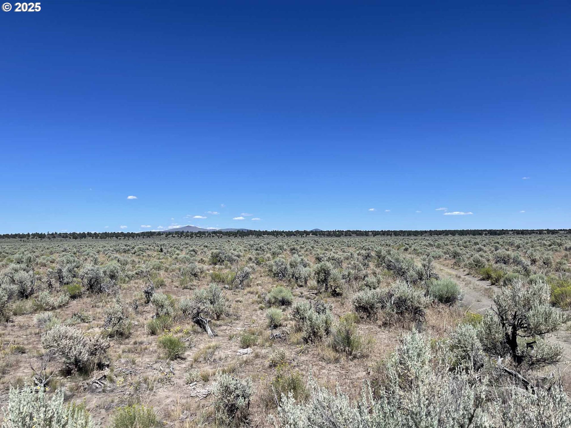 Benjamin Lake Road, Unit L 502 Christmas Valley, OR 97641 - Photo 10 of 31 a view of yard