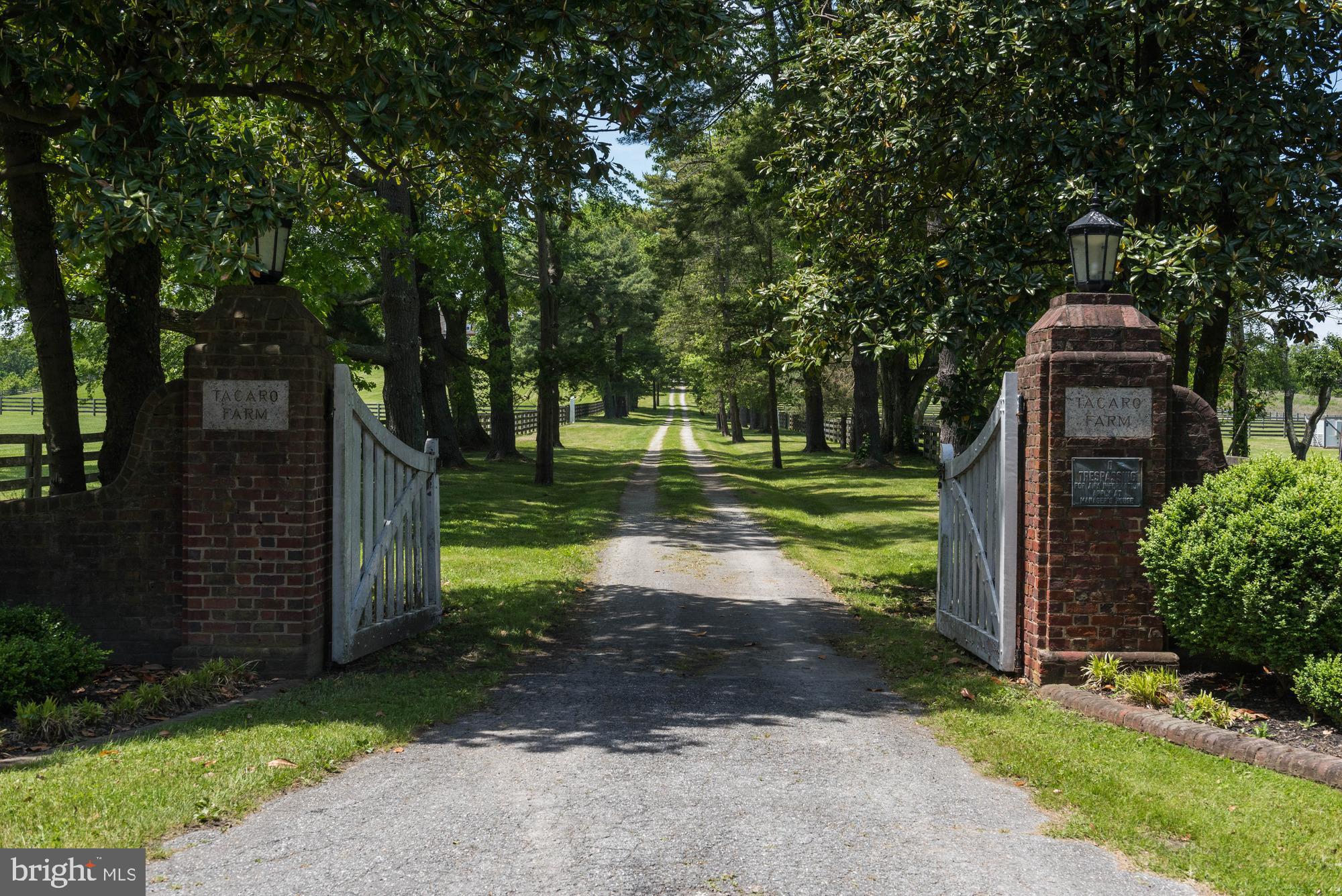 353 Leitch Road Tracys Landing, MD 20779 - Photo 2 of 77