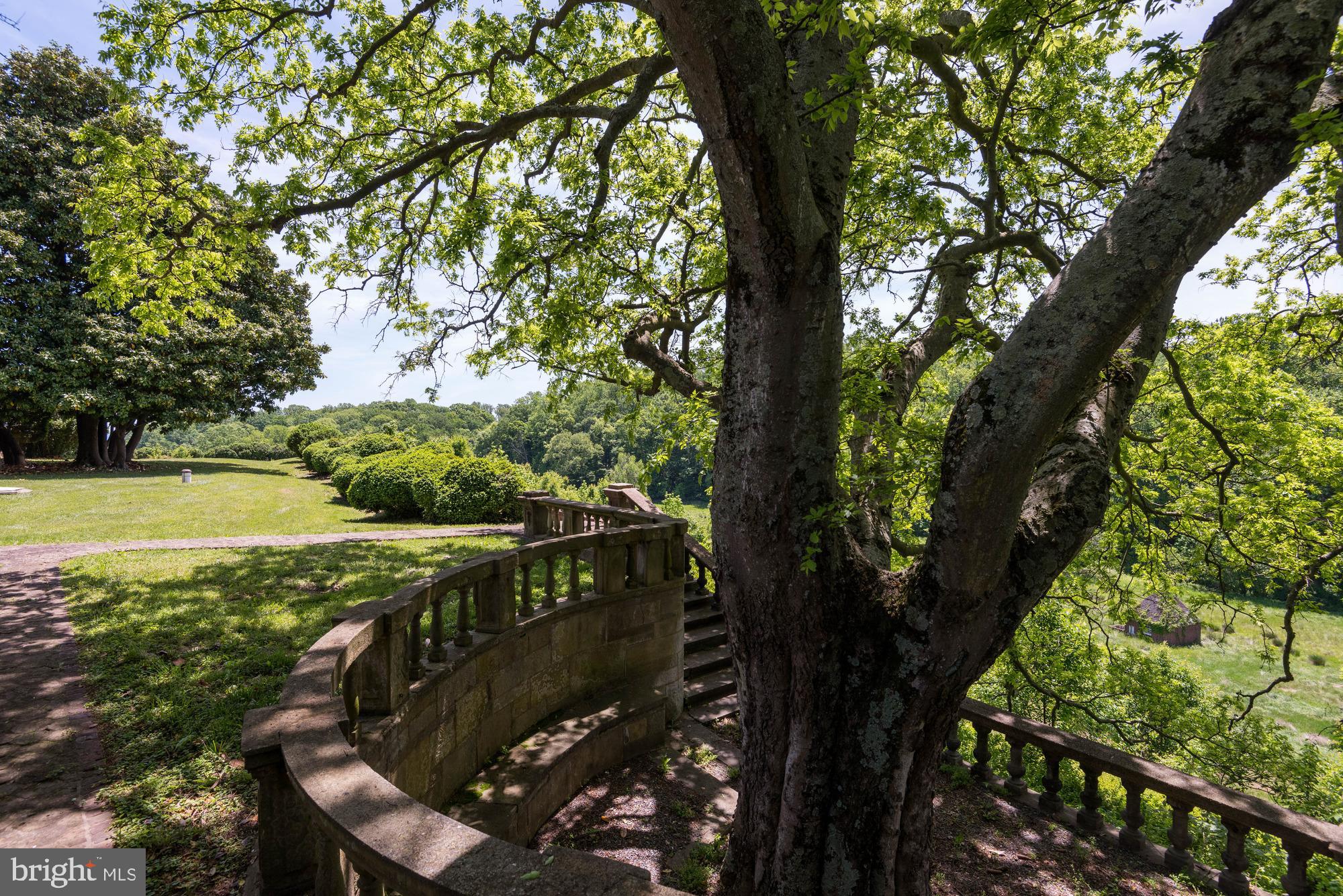 353 Leitch Road Tracys Landing, MD 20779 - Photo 56 of 77