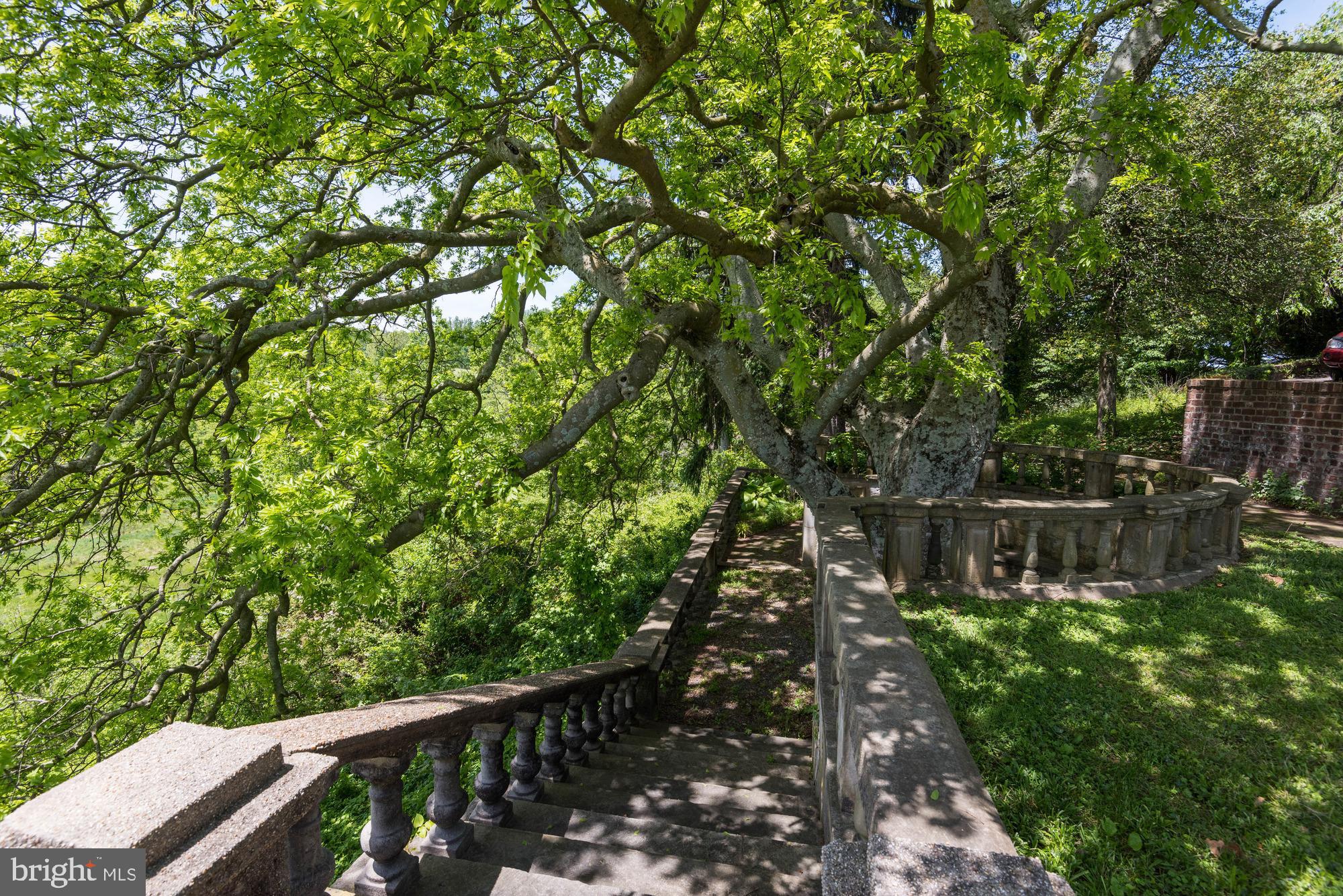 353 Leitch Road Tracys Landing, MD 20779 - Photo 58 of 77