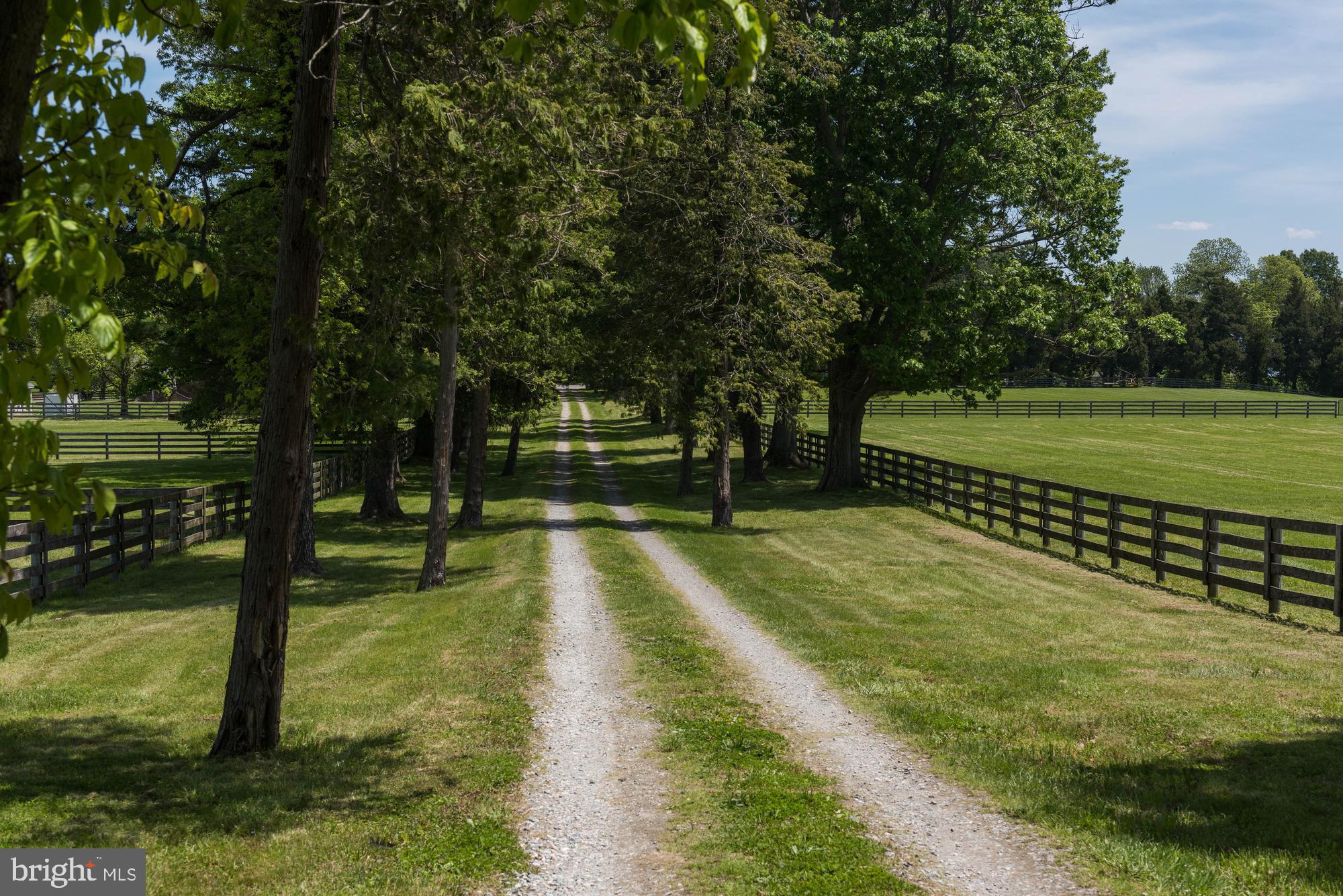 353 Leitch Road Tracys Landing, MD 20779 - Photo 62 of 77