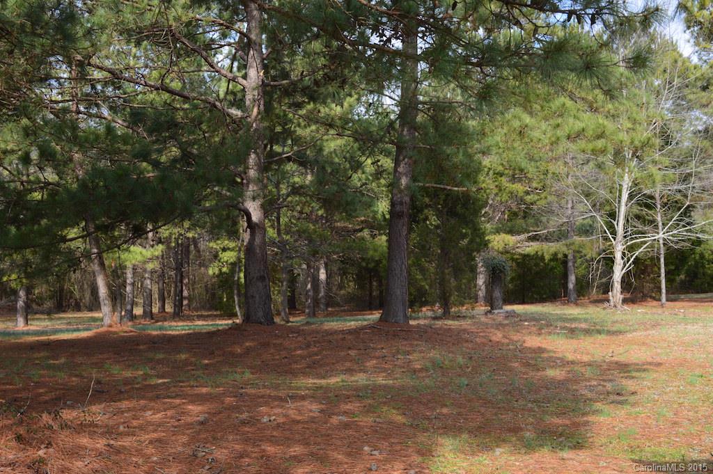 3018 South Anderson Road Catawba, SC 29704 - Photo 18 of 22