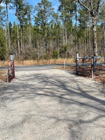 5976 Pleasant Grove Road Walterboro, SC 29488 - Photo 4 of 35
