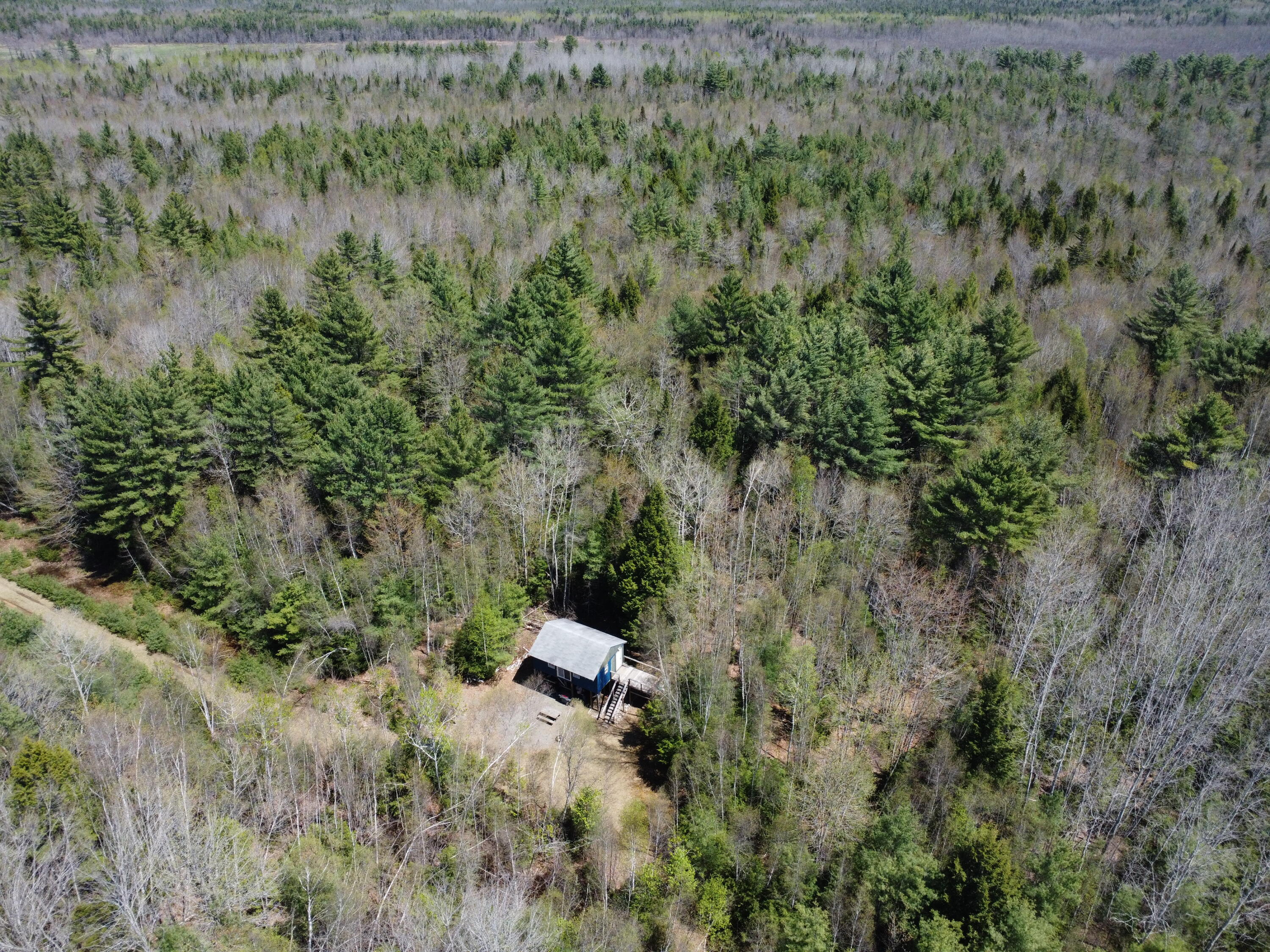 170 Pine Road Greenbush, ME 04418 - Photo 5 of 21 above behind cabin