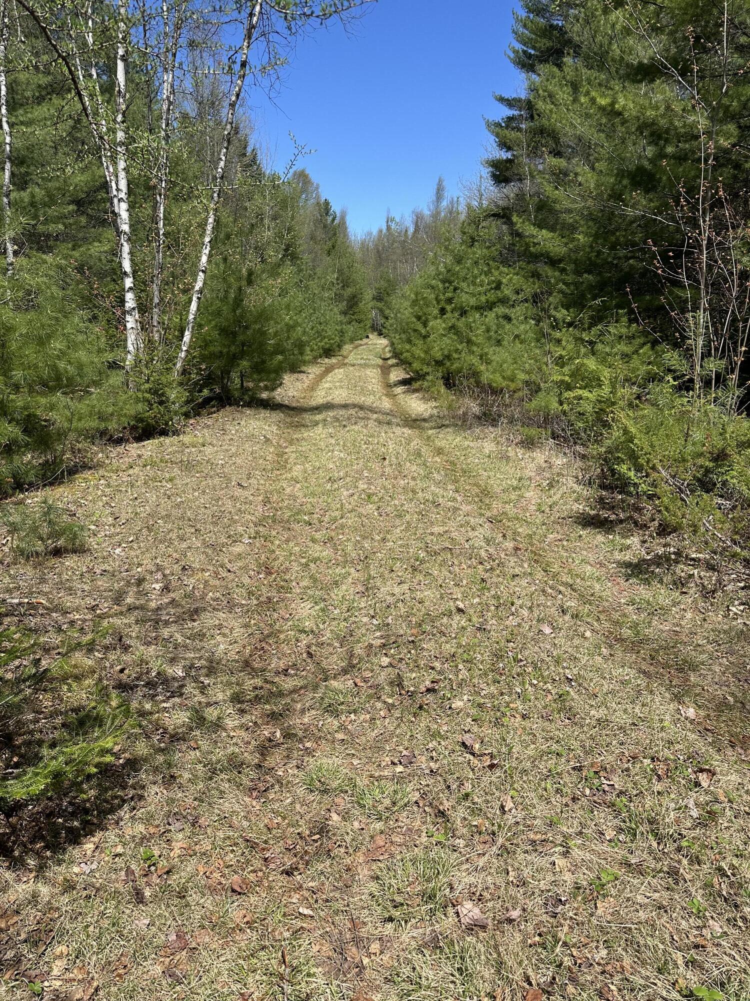 170 Pine Road Greenbush, ME 04418 - Photo 6 of 21 image00008Pine road to cabin