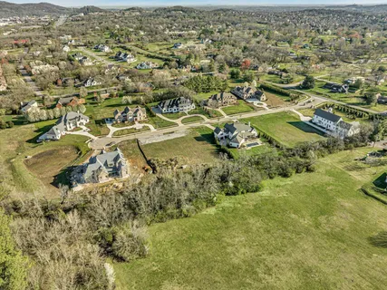 an aerial view of residential houses with outdoor space and trees
