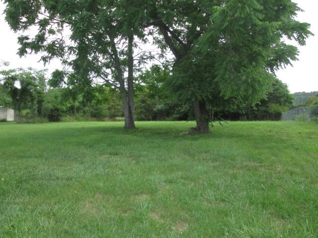 4734 Rucker Road Moneta, VA 24121 - Photo 4 of 37 Back Yard