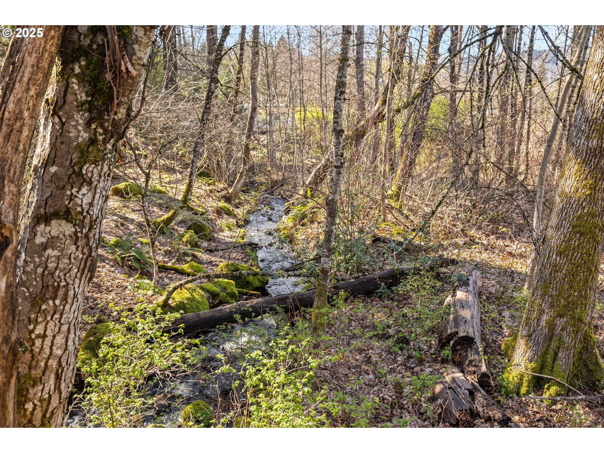 435 Frankton Road Hood River, OR 97031 - Photo 11 of 19