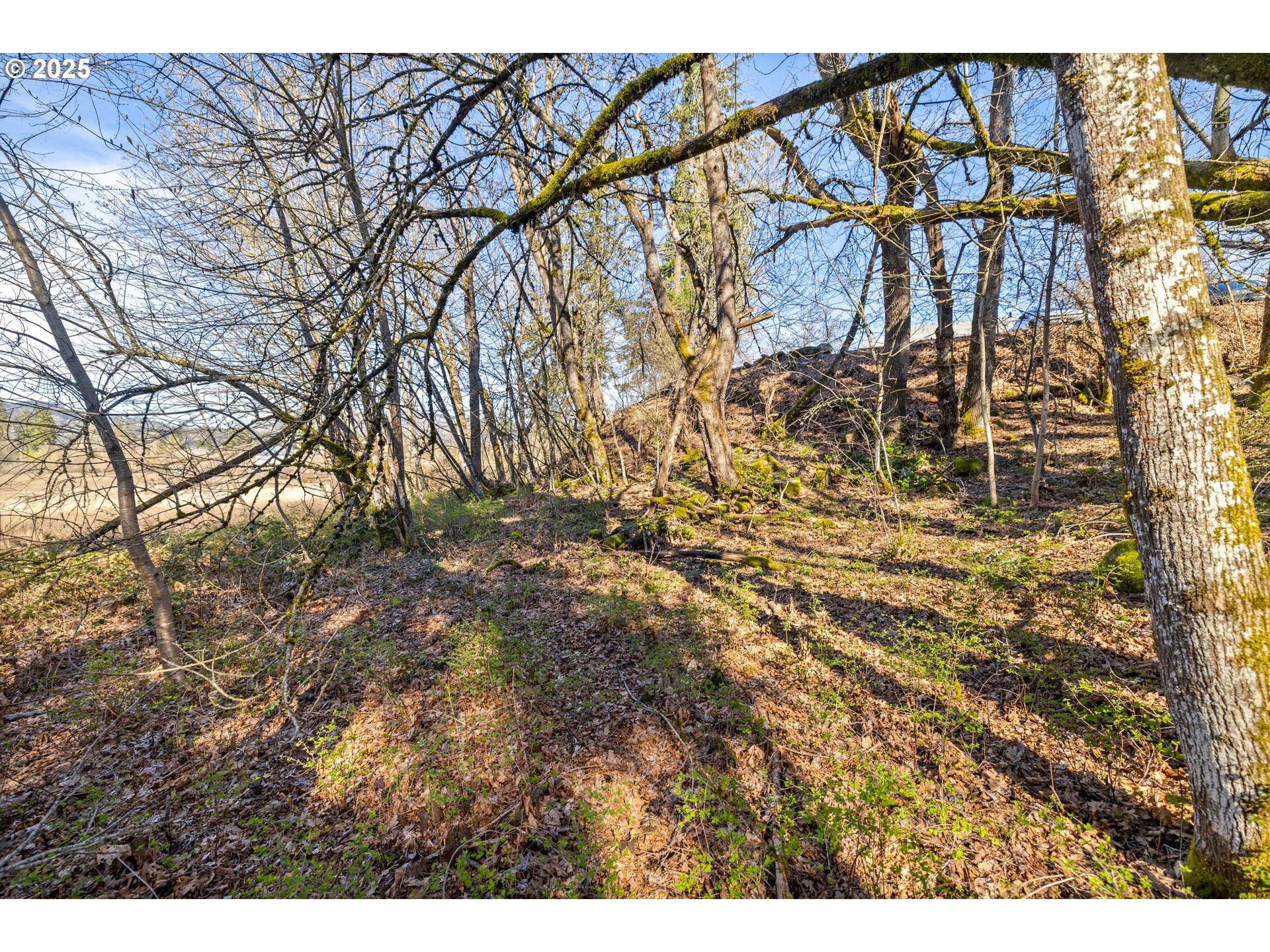 435 Frankton Road Hood River, OR 97031 - Photo 15 of 19