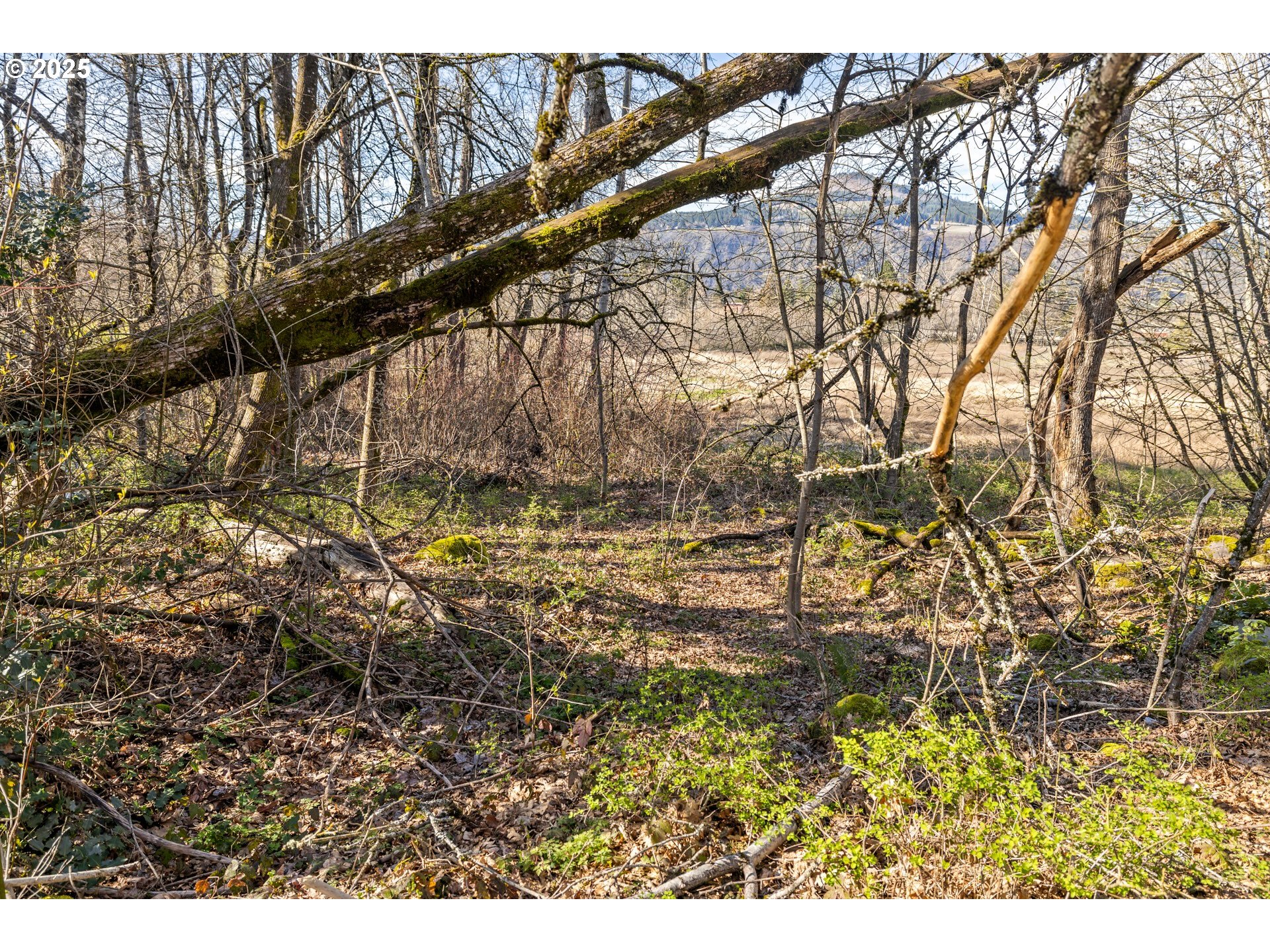 435 Frankton Road Hood River, OR 97031 - Photo 17 of 19