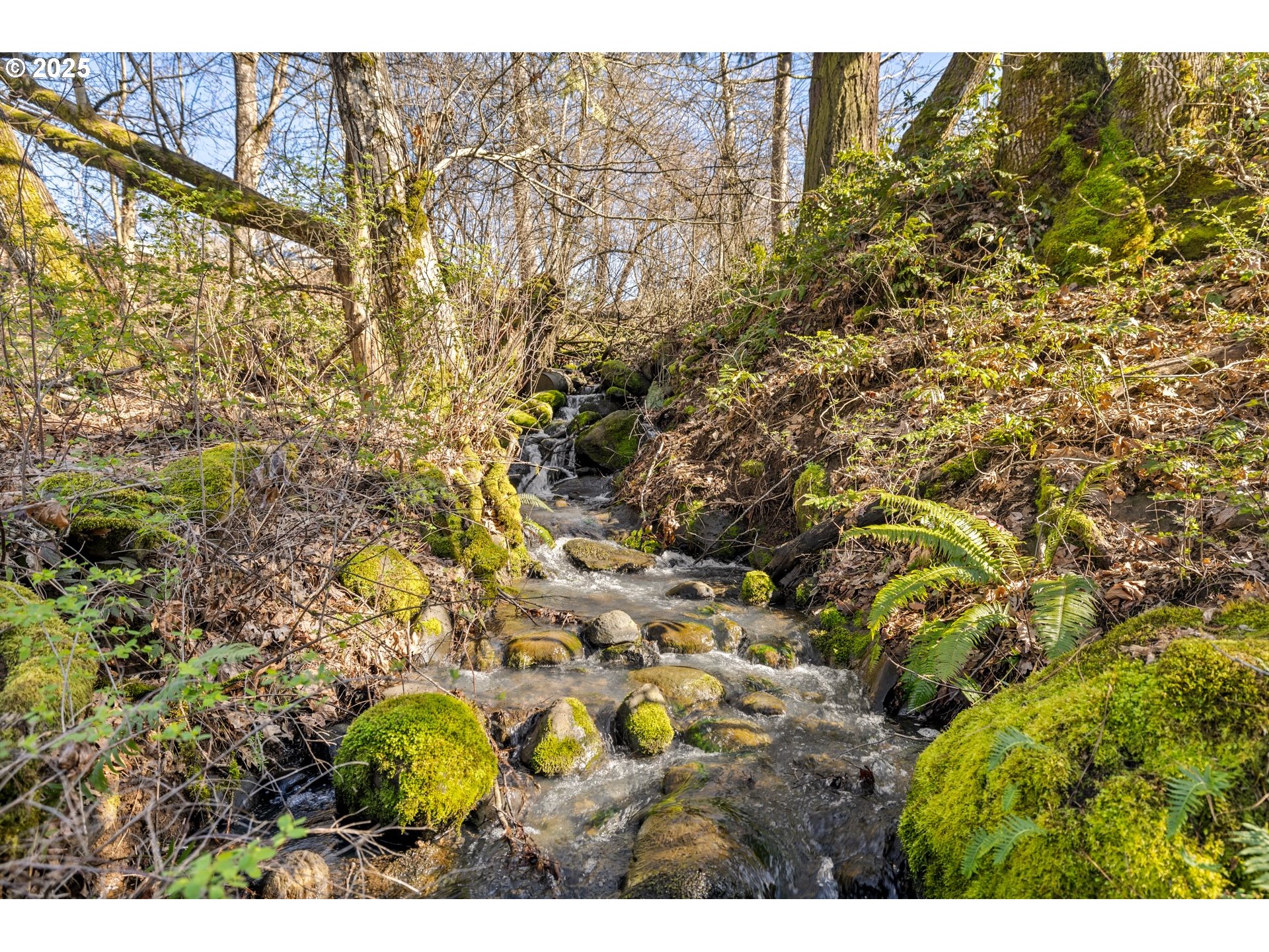 435 Frankton Road Hood River, OR 97031 - Photo 9 of 19