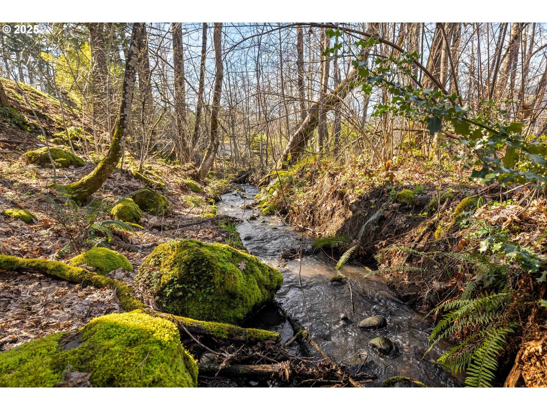 435 Frankton Road Hood River, OR 97031 - Photo 10 of 19